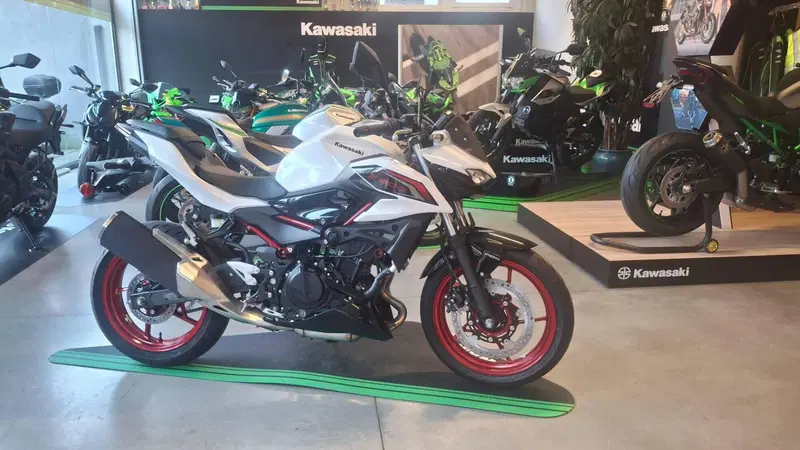 Kawasaki Z 500 SE (2024 - 26)