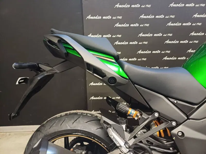 Kawasaki Ninja 1100 SX SE (2025 - 26) (7)