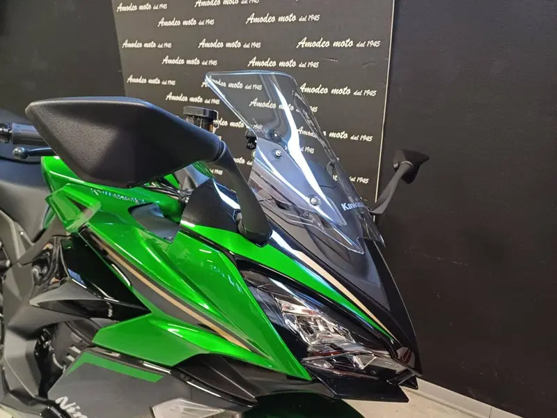 Kawasaki Ninja 1100 SX SE (2025 - 26) (8)