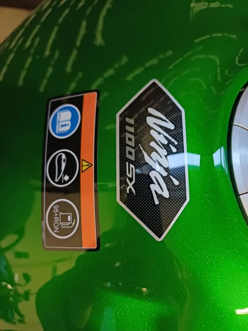 Kawasaki Ninja 1100 SX SE (2025 - 26) (10)