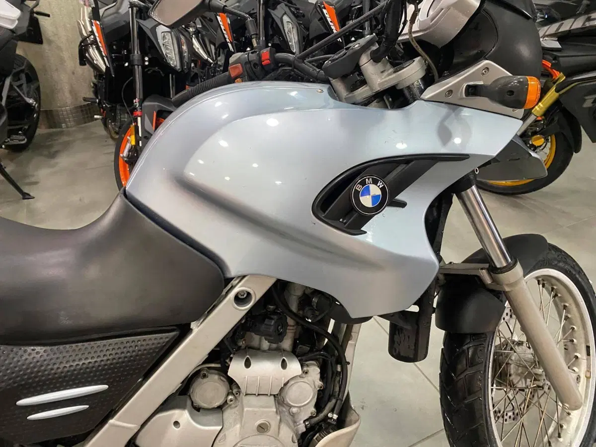 Bmw F 650 GS (2004 - 07) (5)