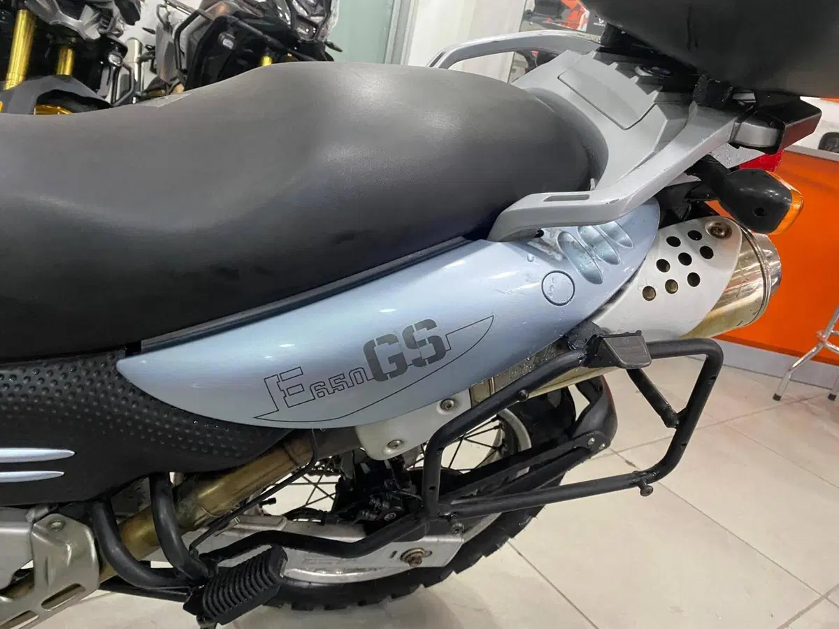 Bmw F 650 GS (2004 - 07) (10)