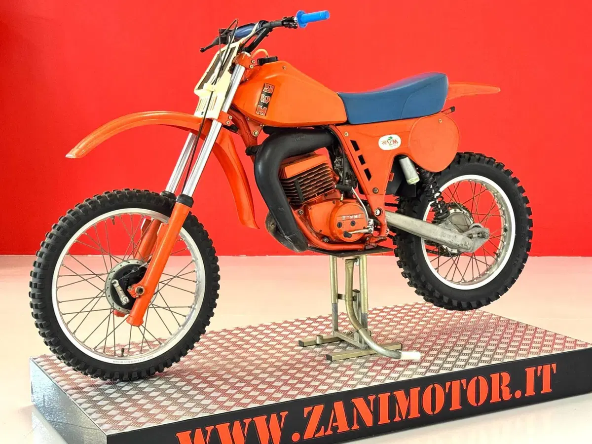 Swm RS 347 GS TF/1 (4)
