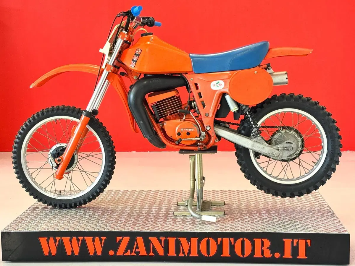 Swm RS 347 GS TF/1 (5)