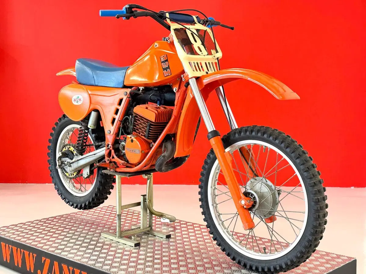 Swm RS 347 GS TF/1 (13)
