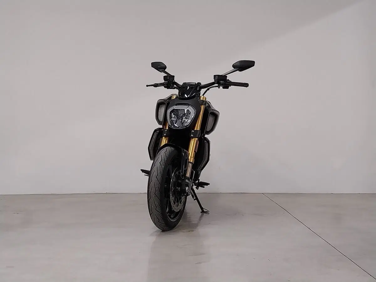 Ducati Diavel 1260 S (2019 - 20) (4)