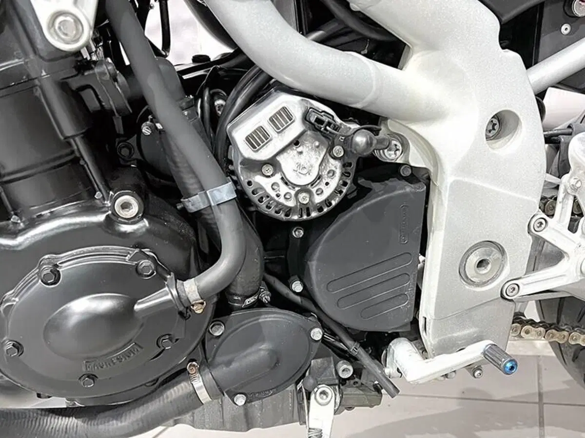 Triumph Speed Triple 955 (1998 - 01) (4)