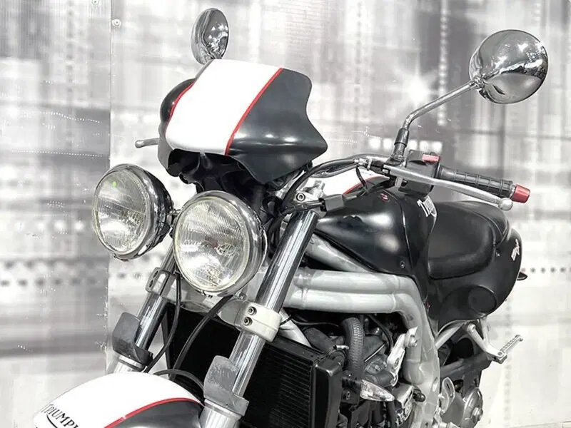 Triumph Speed Triple 955 (1998 - 01) (5)
