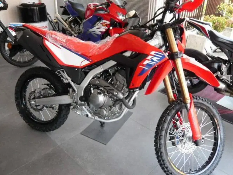 Honda CRF 300L (2025 - 26)