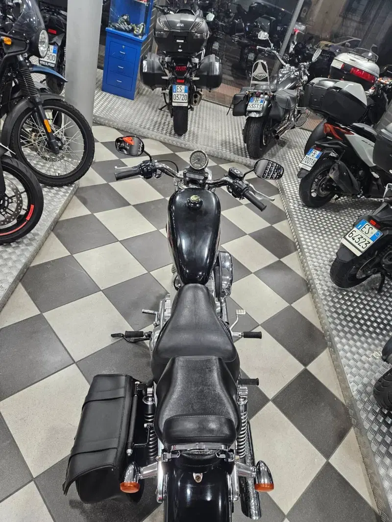 Harley-Davidson 883 (2006 - 07) - XL (4)