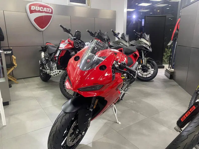 Ducati Panigale V2 (2025 - 26)
