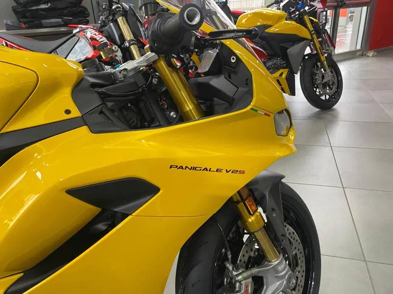 Ducati Panigale V2 S (2025 - 26) (9)