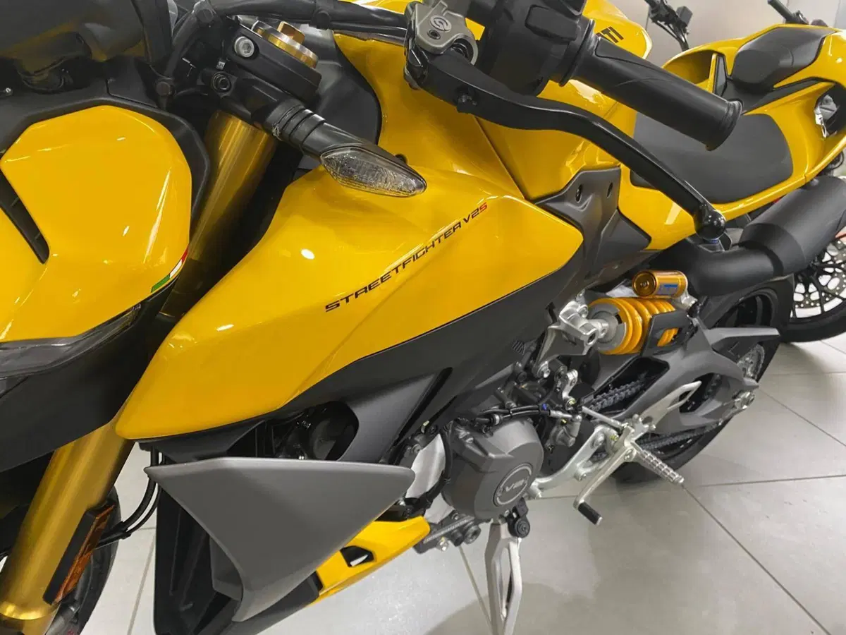 Ducati Streetfighter V2 S (2025 - 26) (8)