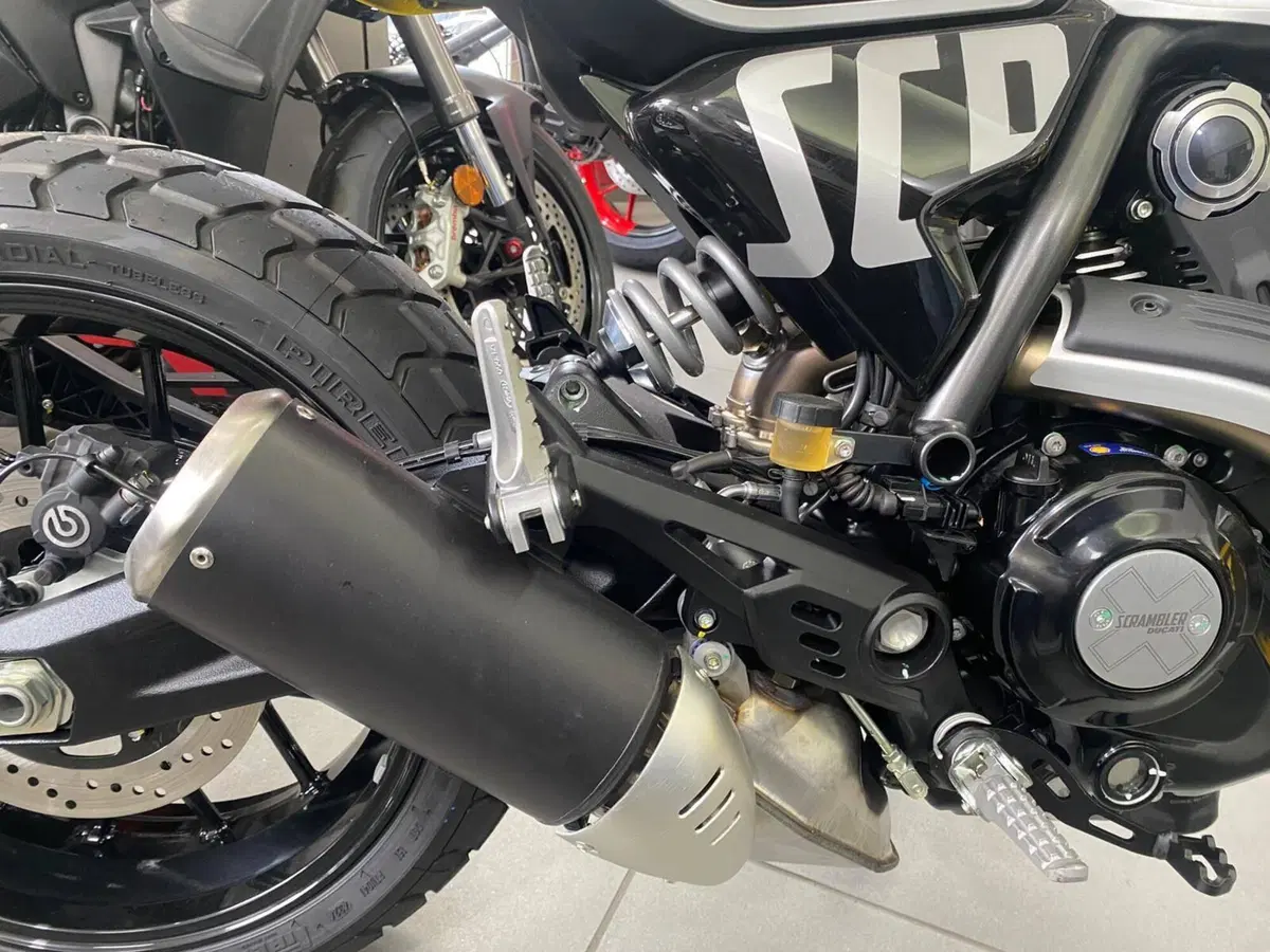 Ducati Scrambler 800 Icon (2025 - 26) (7)