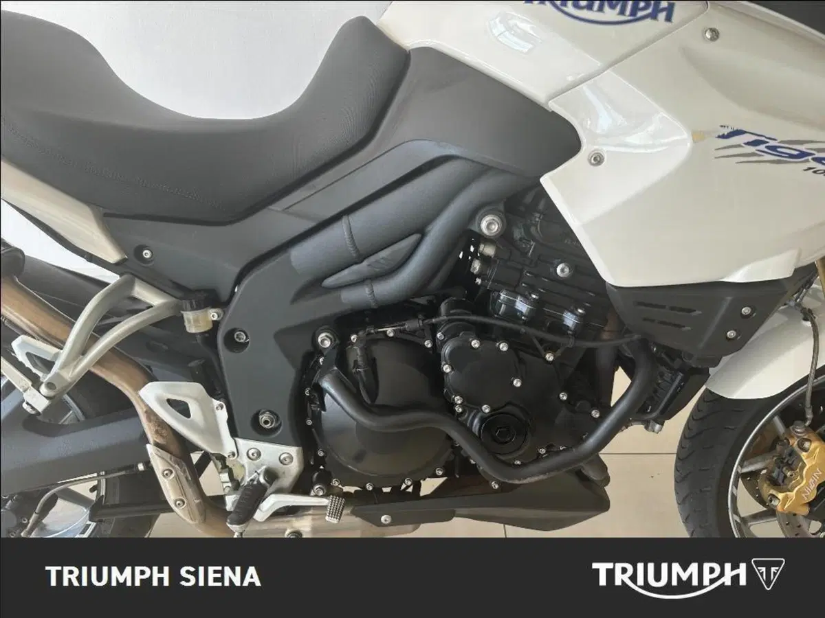Triumph Tiger 1050 SE ABS (2006 - 13) (7)