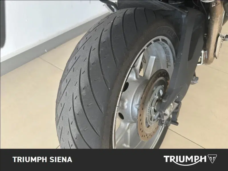 Triumph Tiger 1050 SE ABS (2006 - 13) (13)