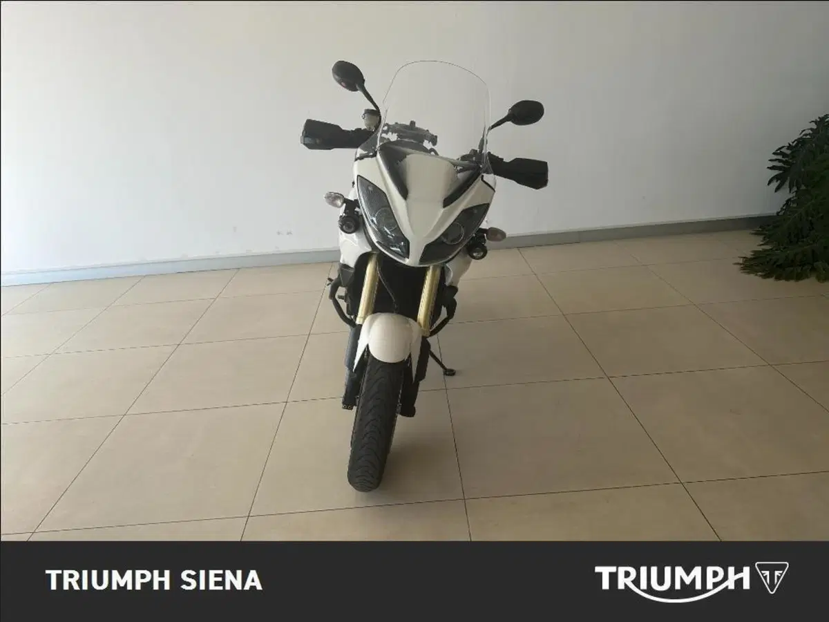Triumph Tiger 1050 SE ABS (2006 - 13) (2)