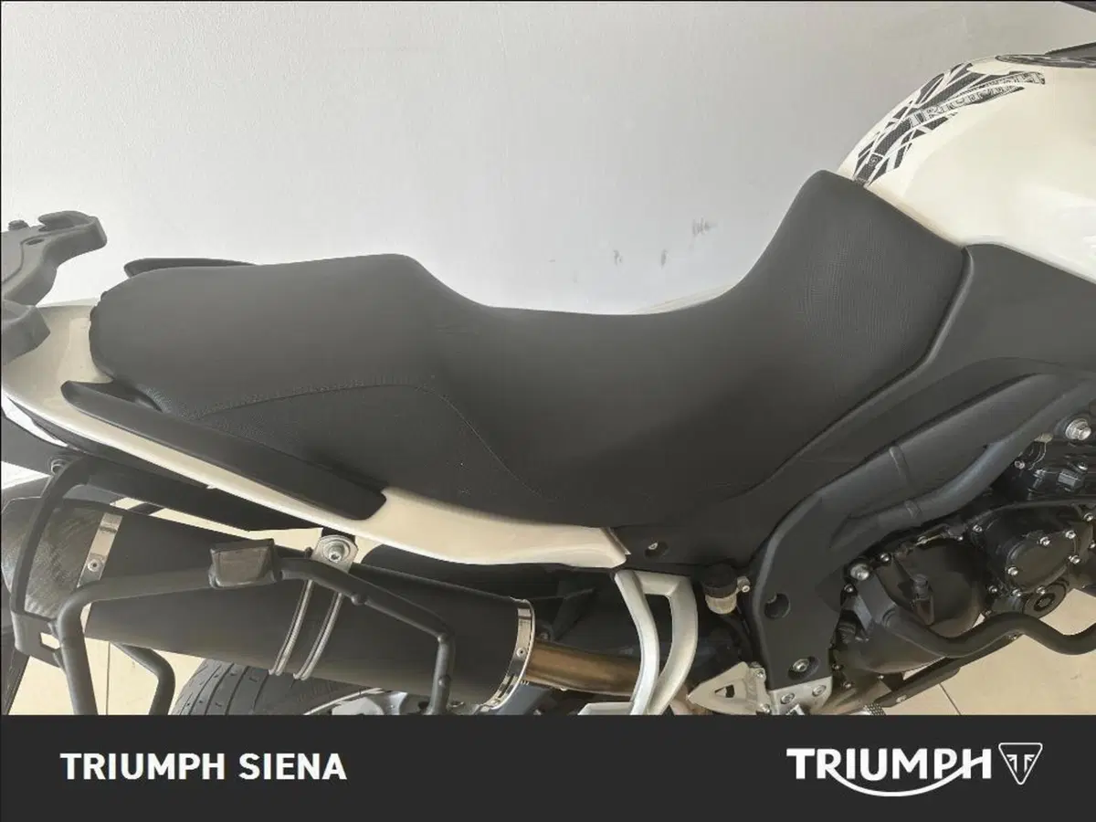Triumph Tiger 1050 SE ABS (2006 - 13) (10)