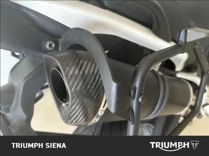 Triumph Tiger 1050 SE ABS (2006 - 13) (12)