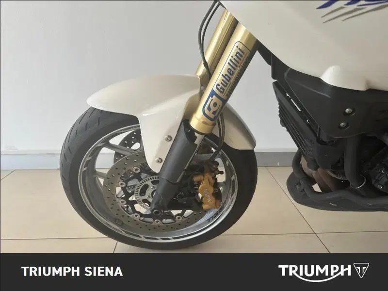 Triumph Tiger 1050 SE ABS (2006 - 13) (15)