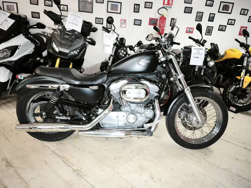 Harley-Davidson 883 (2006 - 07) - XL (4)