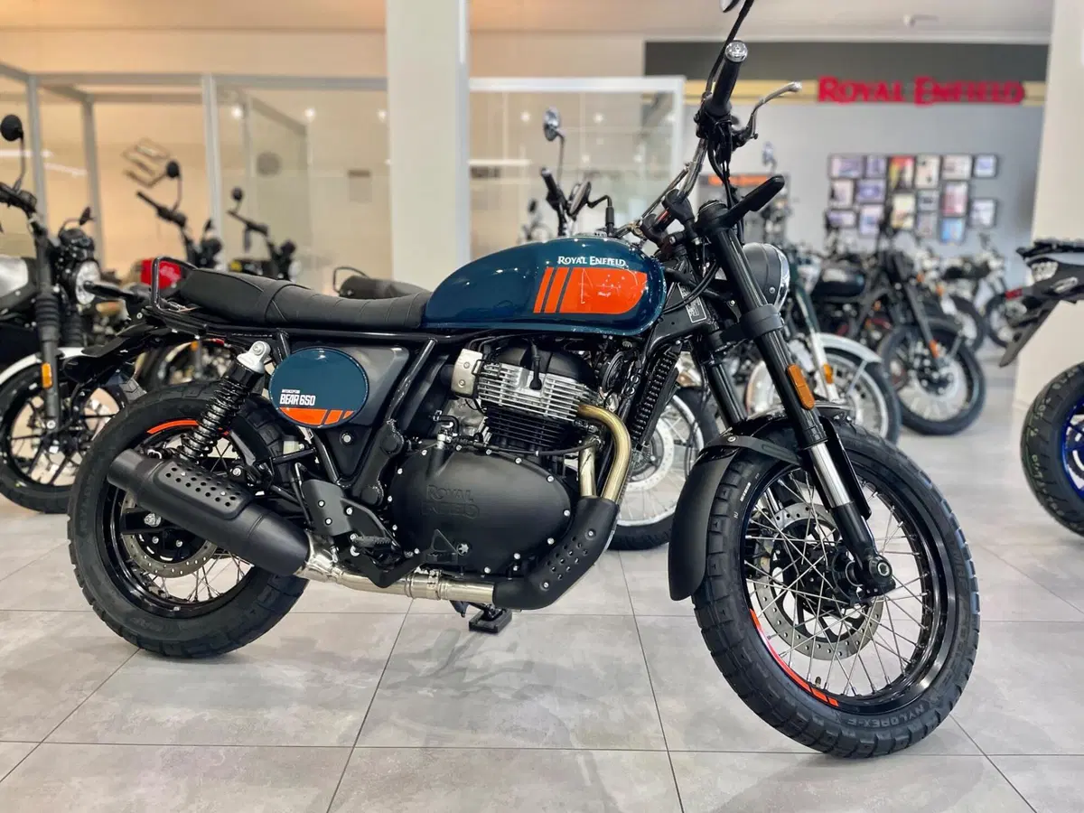 Royal Enfield Bear 650 (2025 - 26) (5)
