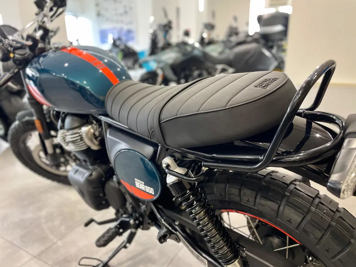 Royal Enfield Bear 650 (2025 - 26) (7)