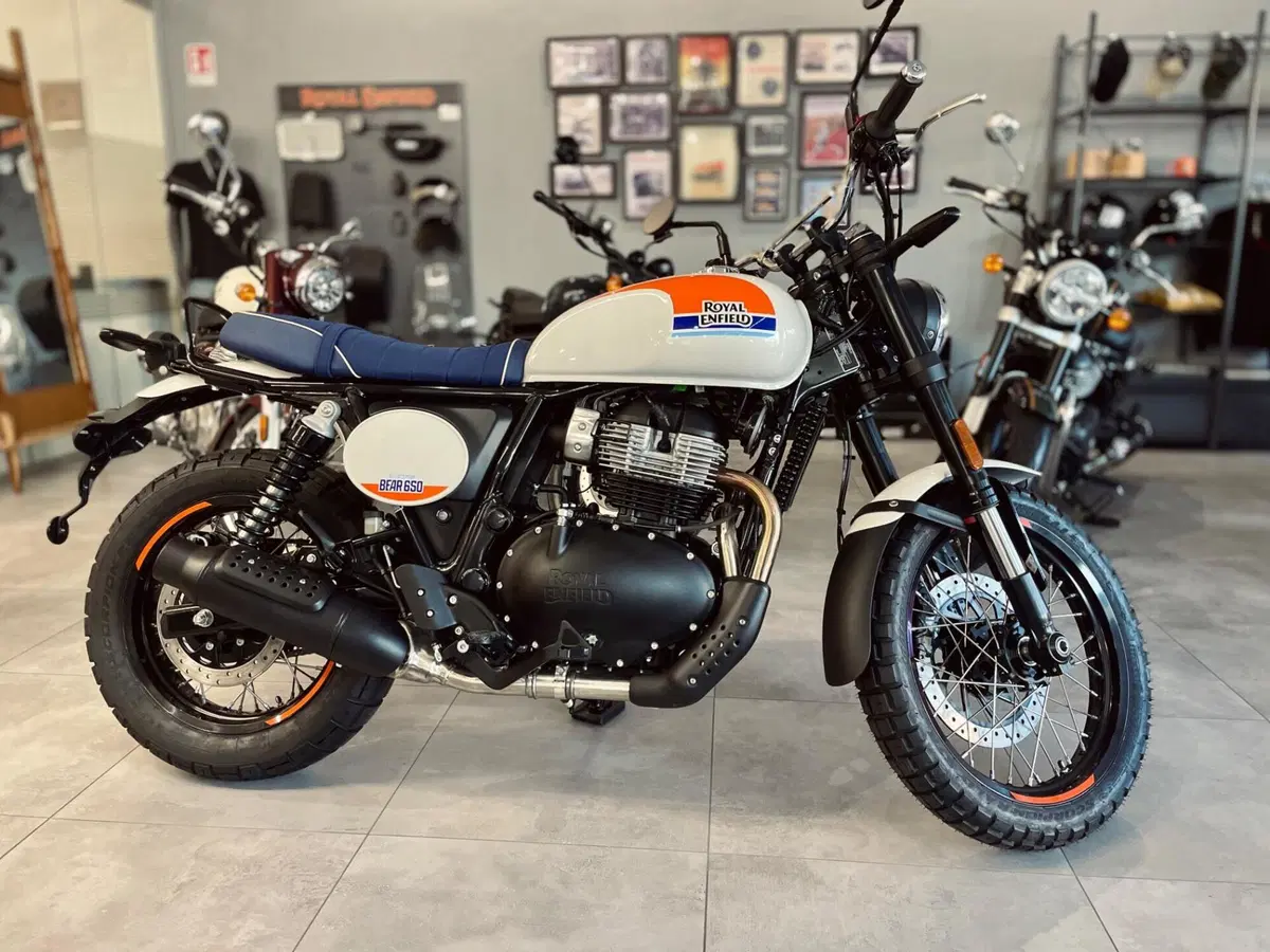 Royal Enfield Bear 650 (2025 - 26)
