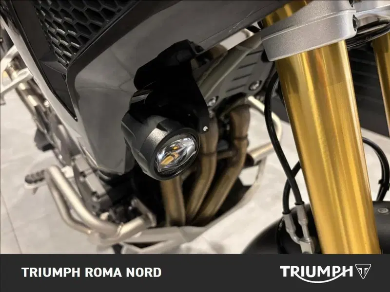 Triumph Tiger 1200 Rally Pro (2024 - 26) (7)