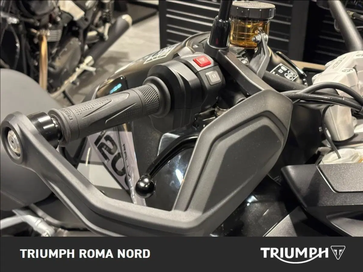 Triumph Tiger 1200 Rally Pro (2024 - 26) (11)