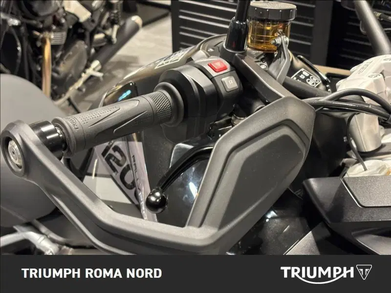 Triumph Tiger 1200 Rally Pro (2024 - 26) (11)
