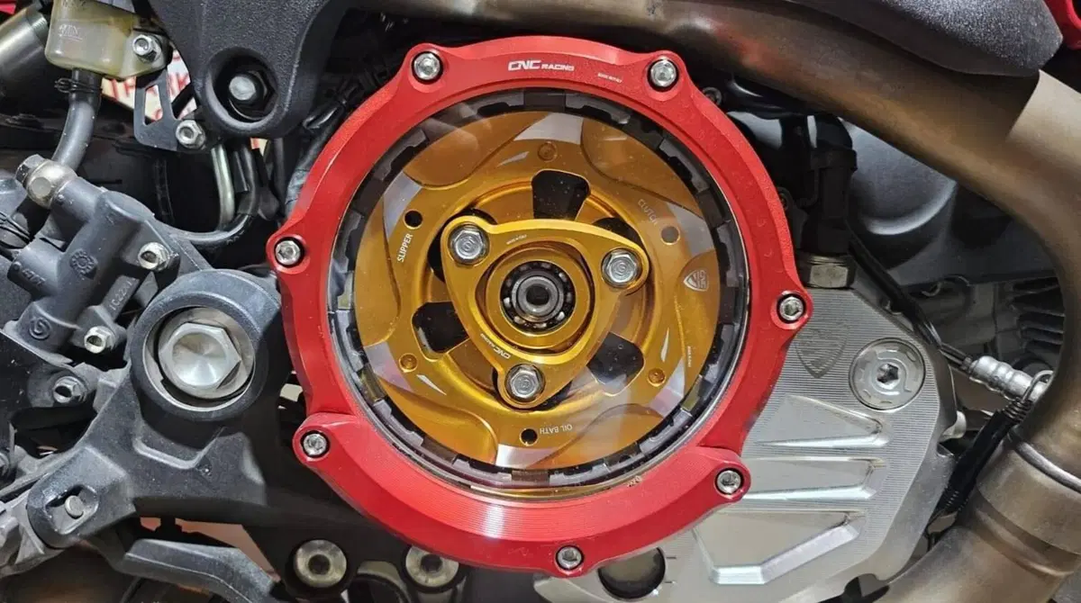 Ducati Monster 1100 (2009 -10) (7)