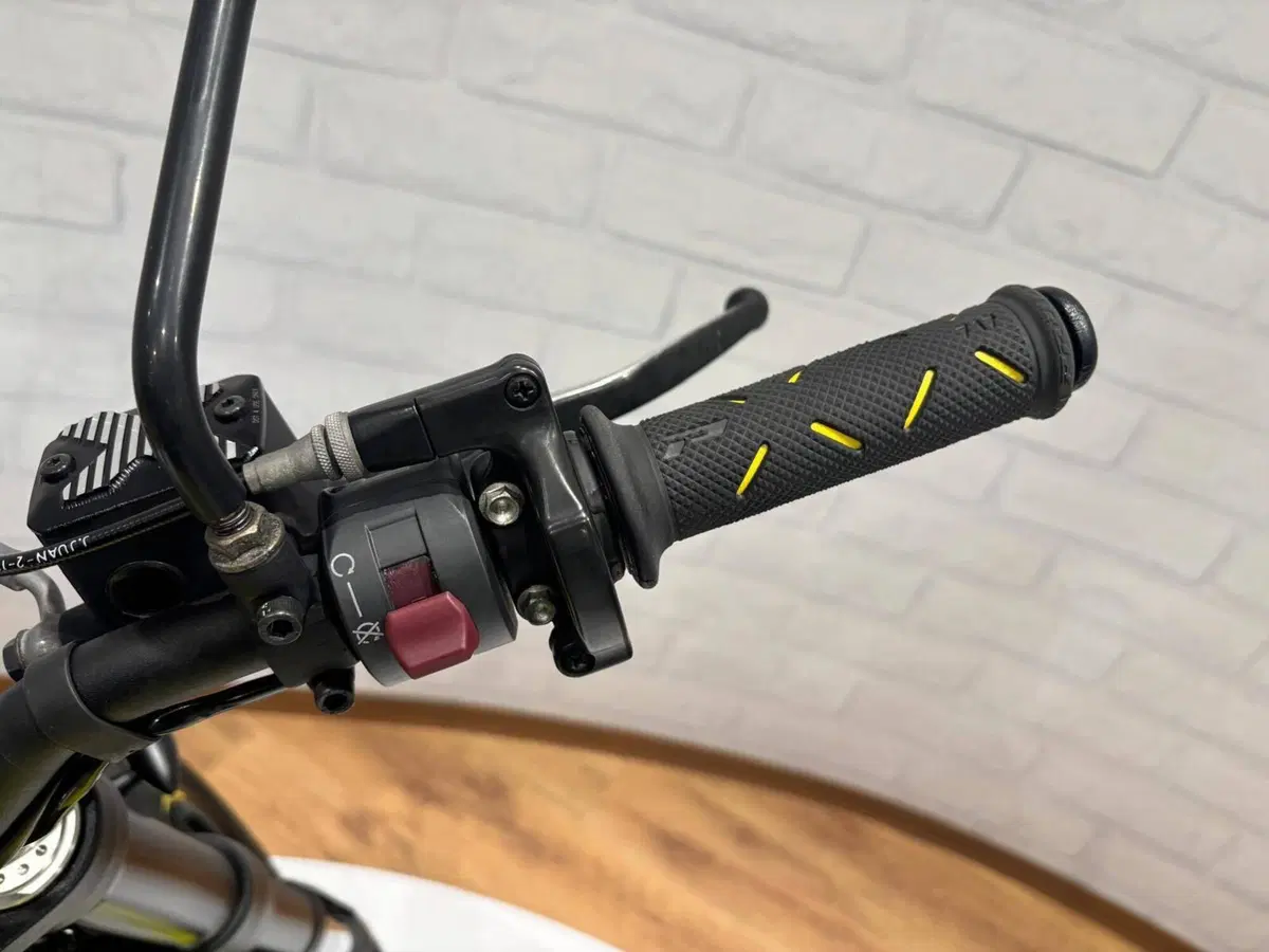 Ducati Scrambler 800 Flat Track Pro (2016 - 17) (11)