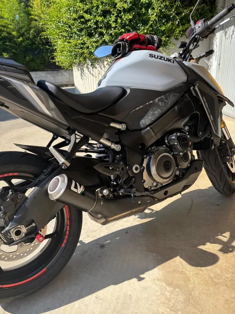 Suzuki GSX-S1000 (2021 - 25) (2)