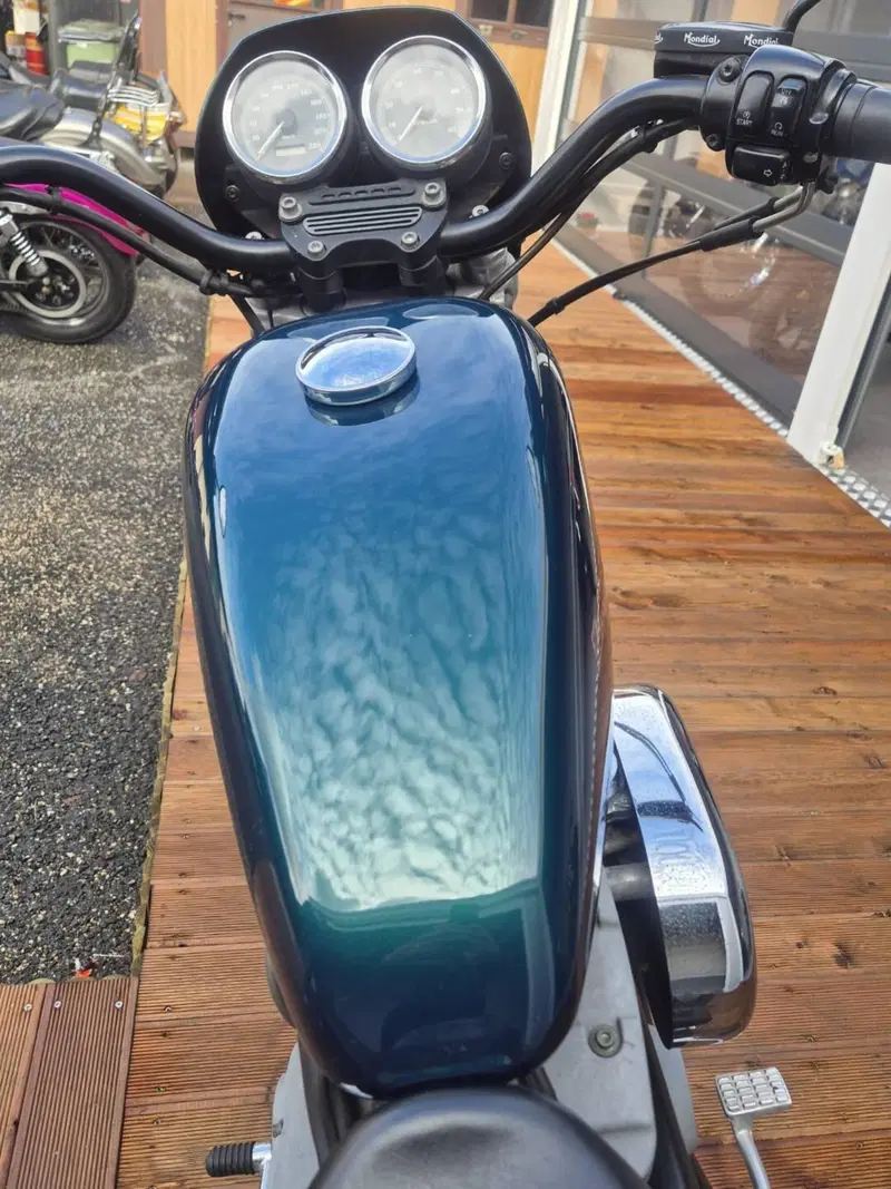 Harley-Davidson 1200 Sport (2001 - 03) - XL 1200S (5)