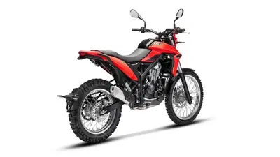 Betamotor Alp 4.0 (2024 - 26) nuova