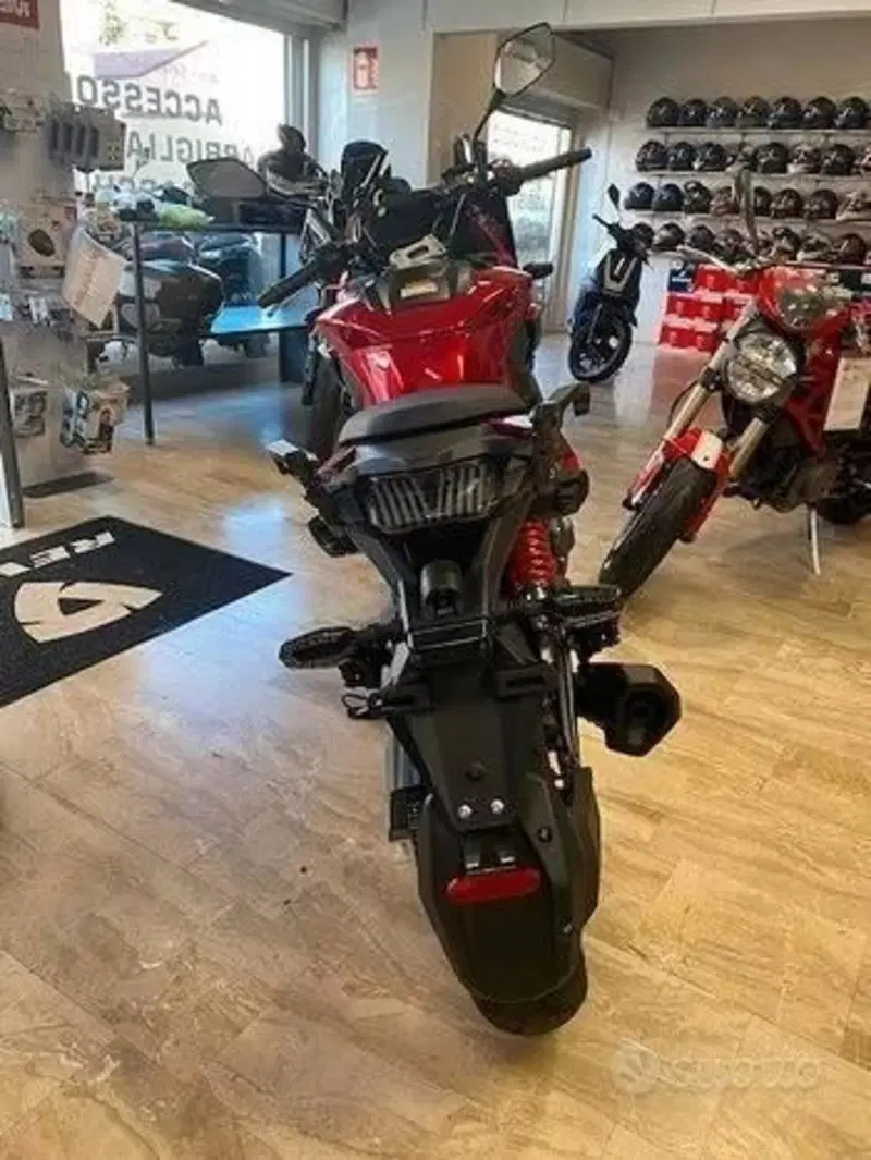 Cyclone RX650 (2025 - 26) (4)