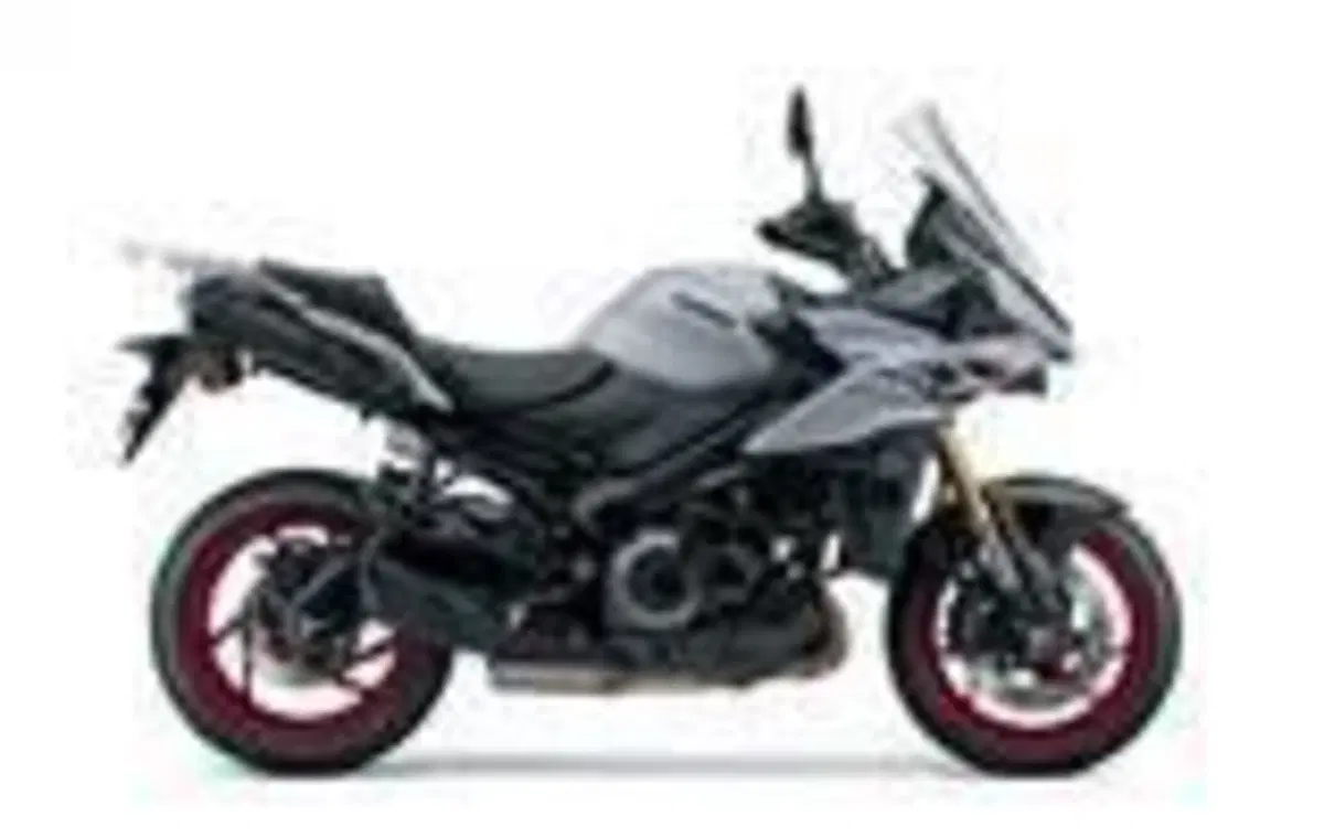 Suzuki GSX-S1000GX (2024 - 26) (2)