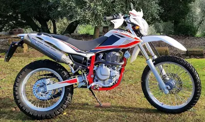 Betamotor Alp 4.0 (2018 - 20) usata