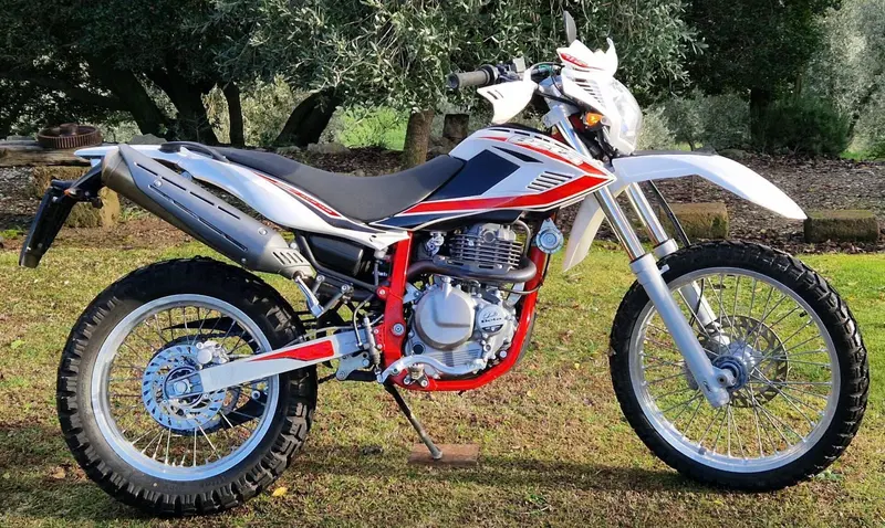 Betamotor Alp 4.0 (2018 - 20)