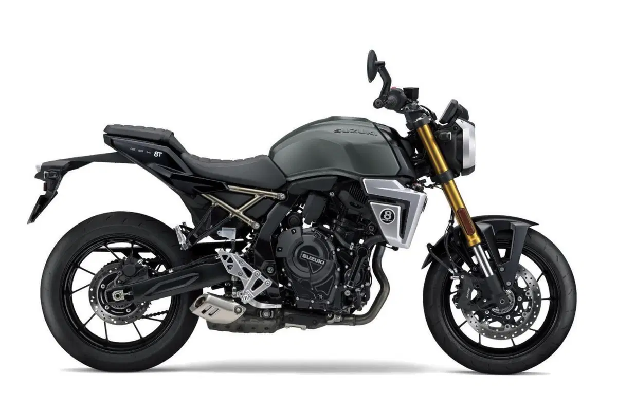 Suzuki GSX-8T (2025 - 26) (2)