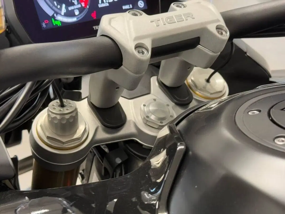 Triumph Tiger 1200 Rally Explorer (2024 - 26) (8)