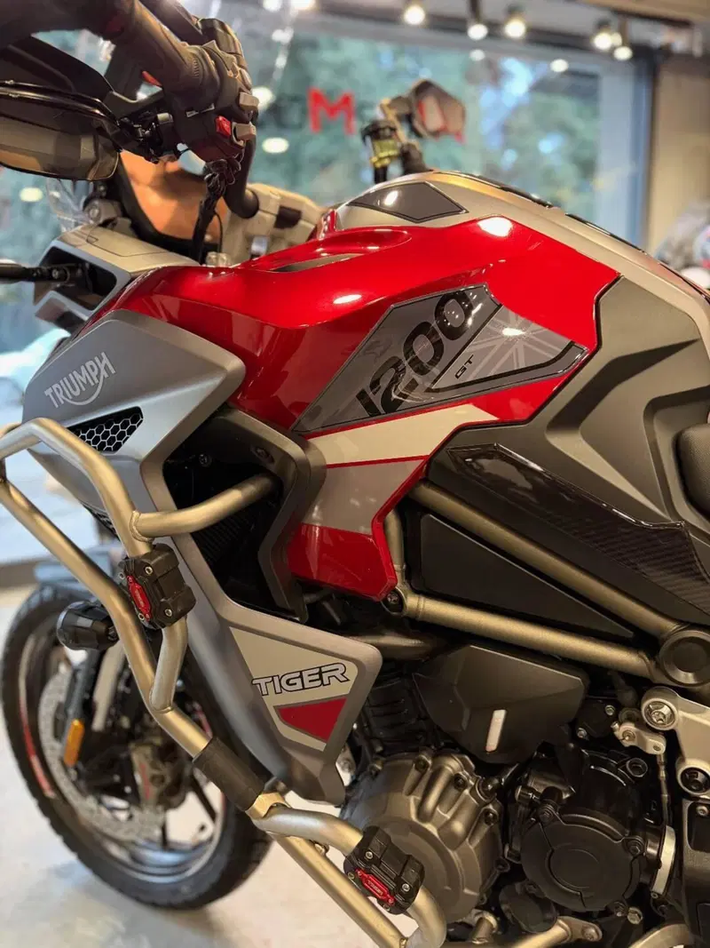 Triumph Tiger 1200 GT Explorer (2024 - 26) (13)