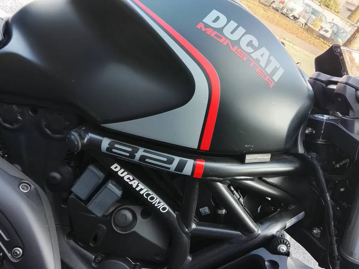 Ducati Monster 821 Stealth (2019 - 20) (6)