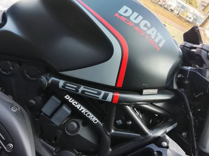 Ducati Monster 821 Stealth (2019 - 20) (6)