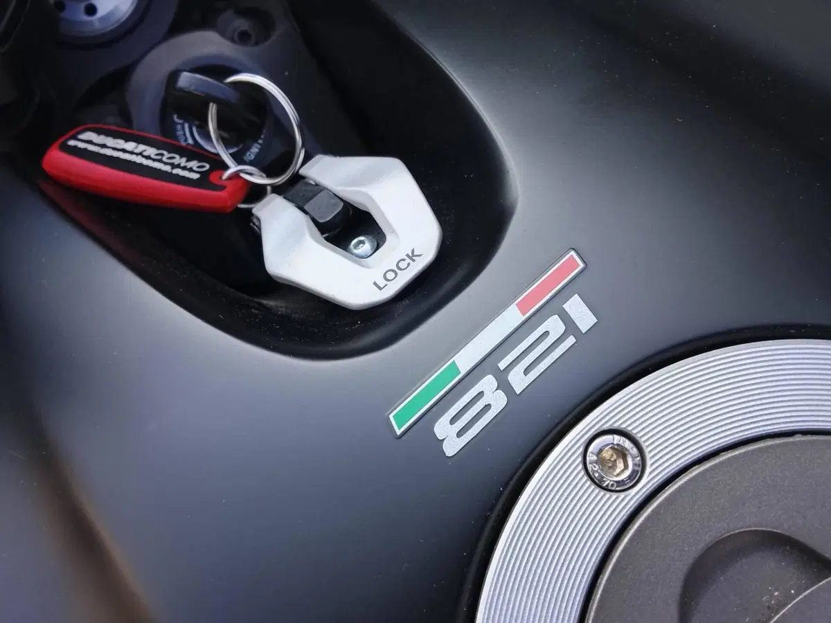 Ducati Monster 821 Stealth (2019 - 20) (11)