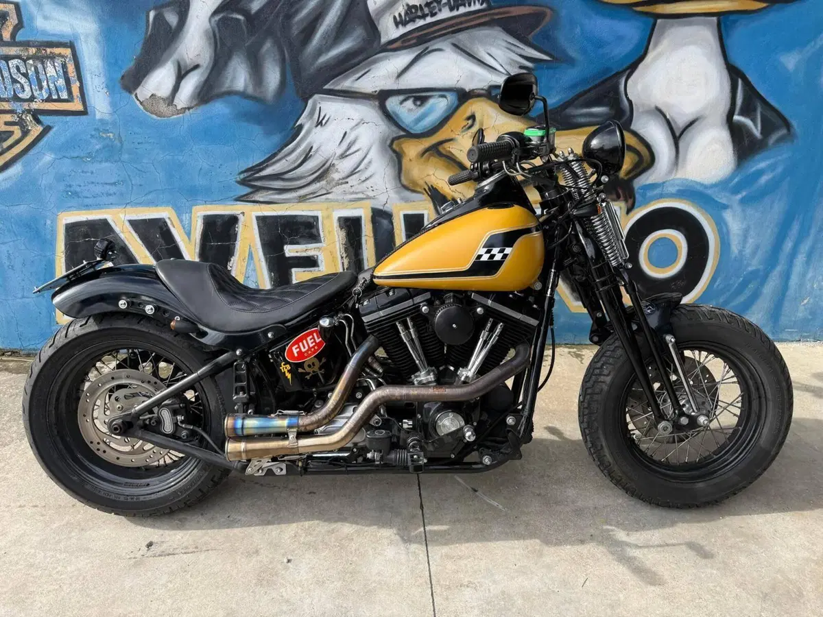 Harley-Davidson 1584 Cross Bones (2008 - 11) - FLSTSB