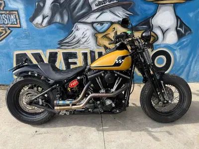 Harley-Davidson 1584 Cross Bones (2008 - 11) - FLSTSB usata