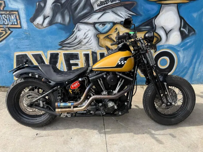 Harley-Davidson 1584 Cross Bones (2008 - 11) - FLSTSB