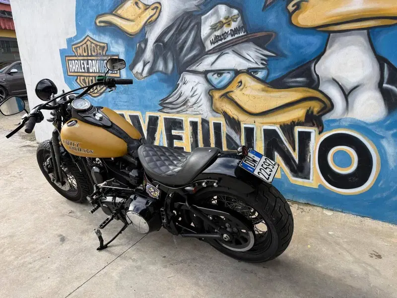 Harley-Davidson 1584 Cross Bones (2008 - 11) - FLSTSB (2)